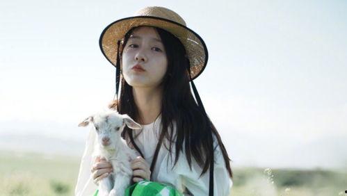 明星网红有壁,揭秘他们的独特魅力与成功秘诀