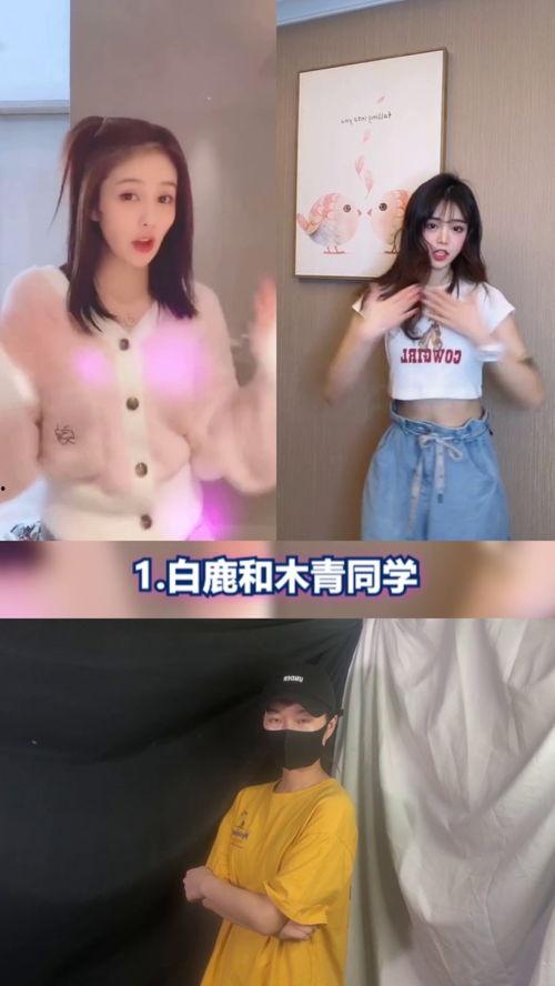 明星网红舞蹈考试,明星网红舞蹈考试精彩瞬间大盘点