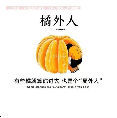 抖音热门公瓜,揭秘网红美食背后的秘密