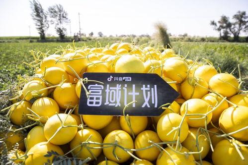 抖音热门公瓜,揭秘网红美食背后的秘密