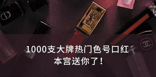 明星网红店查封,揭秘幕后真相与行业反思