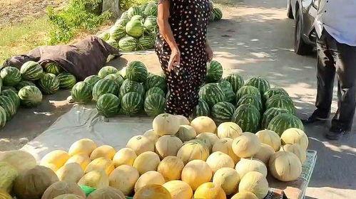 西昌吃瓜热门视频,一场视觉与味蕾的双重盛宴