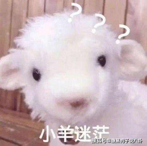 小羊吃瓜最新事件爆料,揭秘背后惊人真相