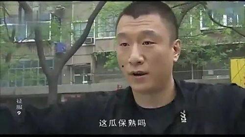 黑饱宝和榜一大哥吃瓜,揭秘网络吃瓜背后的故事