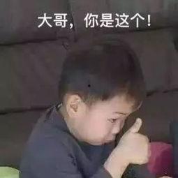 黑饱宝和榜一大哥吃瓜,揭秘网络吃瓜背后的故事