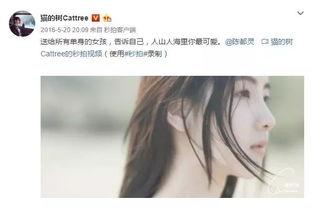 明星网红作品账号,揭秘明星网红作品背后的魅力与影响力