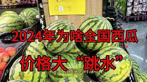 热门大瓜今日大瓜2024,今日大瓜盘点，揭秘娱乐圈风云变幻