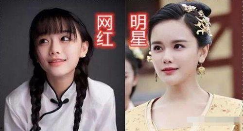 怎样成为明星网红,揭秘成功之路