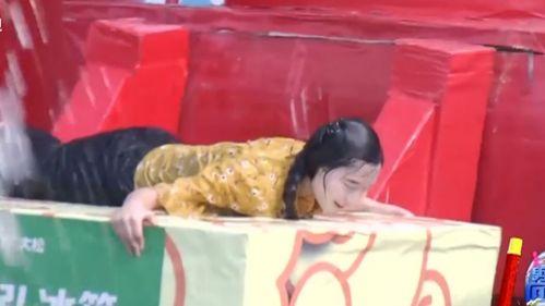 向前冲明星网红,揭秘明星网红的奋斗之路