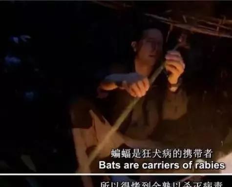 吃瓜八卦黑历史曝光在线观看视频,吃瓜八卦黑历史曝光，在线观看视频带你一探究竟