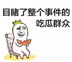 718吃瓜爆料往期内容,回顾往期精彩内容，揭秘娱乐圈幕后故事