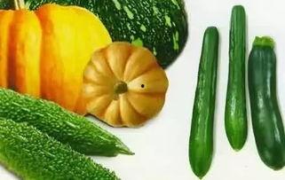 在哪能吃热门瓜