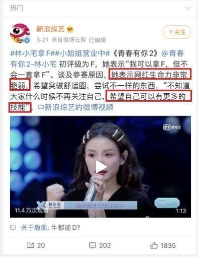明星网红直播美食,明星效应下的味蕾狂欢