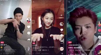各路明星网红视频,明星网红视频集锦解析