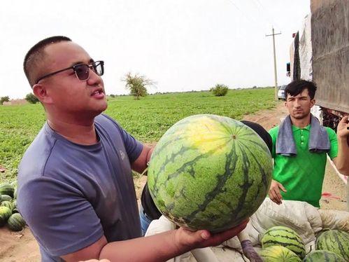 每日热门吃瓜免费,揭秘娱乐圈最新热点事件