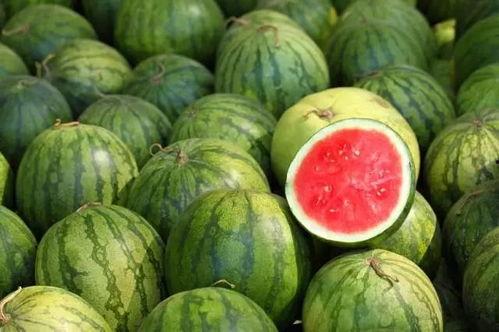 全球热门吃瓜视频,笑料百出，揭秘娱乐圈幕后趣闻