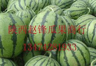 今日瓜价哈密瓜行情走势,瓜香四溢，价格走势揭秘