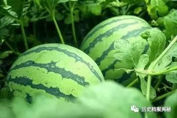 吃瓜了家人们今日大瓜,吃瓜群众热议娱乐圈最新爆料