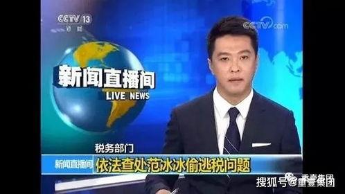 明星网红逃税事件,明星网红逃税事件深度解析