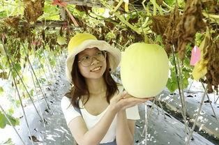 23年热门大瓜,揭秘明星幕后真相