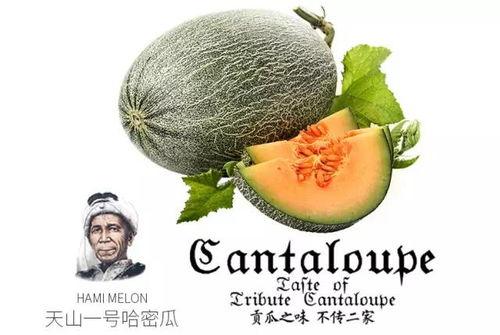 吃瓜群众上热门,揭秘网络热门事件背后的真相