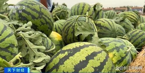 戚佳丽热门吃瓜,娱乐圈吃瓜达人，揭秘热门事件背后的真相