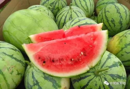 五一吃瓜今日大瓜视频,今日大瓜视频盘点