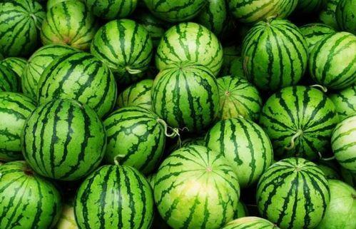 吃瓜今日吃瓜必吃最新,揭秘娱乐圈最新热点事件