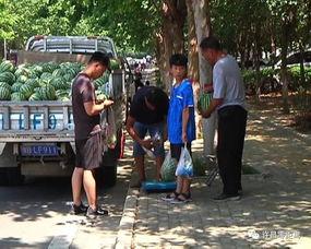 广西吃瓜群众爆料梧州事件,吃瓜群众视角下的真相揭秘