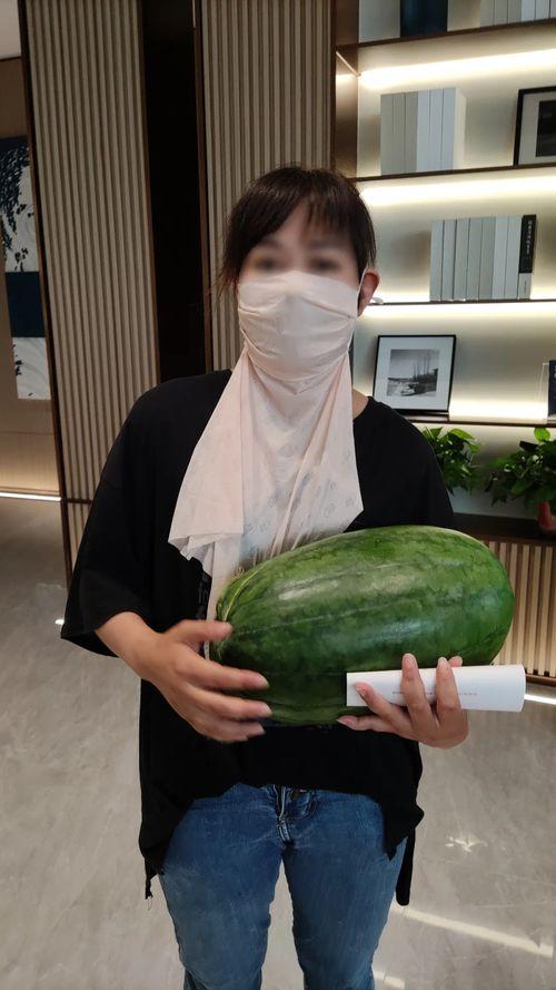 今日吃瓜91cg热门大瓜,吃瓜91cg热门大瓜揭秘