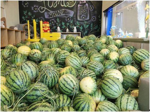 五一吃瓜今日吃瓜娜,今日焦点聚焦娜