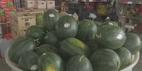 近期热门吃瓜跳舞,揭秘近期热门吃瓜跳舞现象