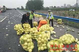 许昌吃瓜热门事件,揭秘网络热议背后的真相与反思