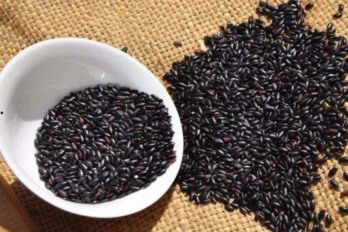 方瓜和黑米能一起吃吗,健康搭配的饮食新选择