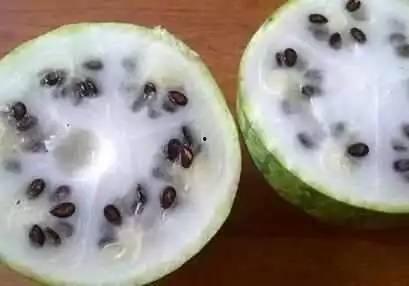 小时候吃的白瓤黑籽的瓜,白瓤黑籽瓜的甜蜜滋味