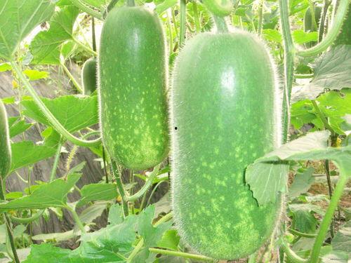 每日大赛热门大瓜必看大瓜,揭秘今日必看焦点事件