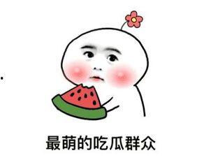 娱乐圈吃瓜大集合824pdf,揭秘幕后真相与明星众生相