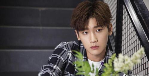 吃瓜爆料男星咩咩是谁,吃瓜爆料男星“咩咩”的真实身份