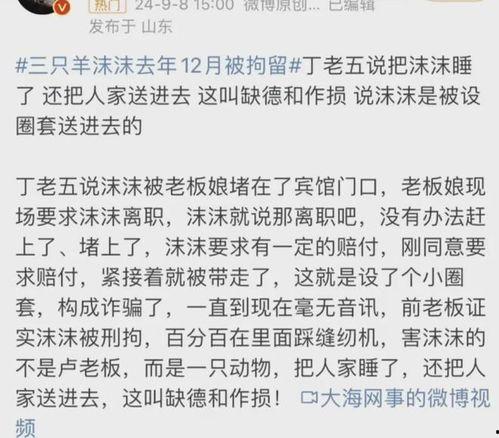 吃瓜爆料三只羊,探寻羊群中的神秘事件