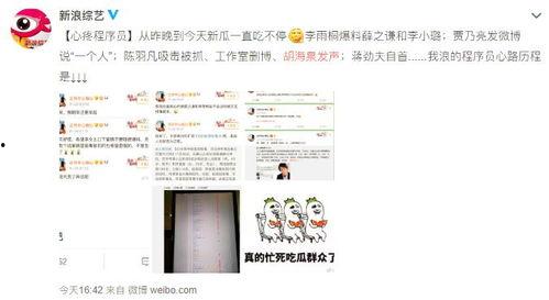 明星吃瓜爆料文件真实吗,真实与否，真相即将揭晓