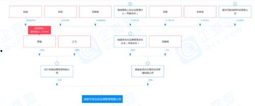 明星网红开店流程,从构思到开业的一站式流程揭秘