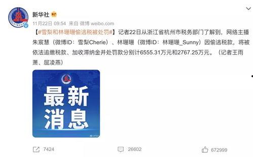 明星网红逃税分析,揭秘娱乐圈税务黑洞