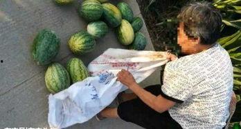 漳浦吃瓜最新事件爆料