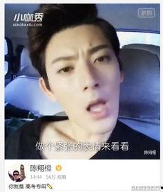 爆料明星网红APP,爆料背后的真相与影响