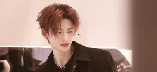 明星网红大哥排名,盘点最具影响力的明星网红排行