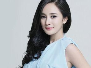 明星网红好职业,闪耀舞台的璀璨职业之路