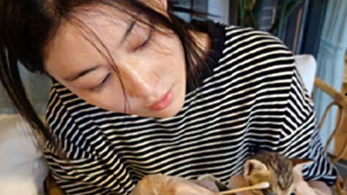 明星网红虐待动物,道德底线何在？