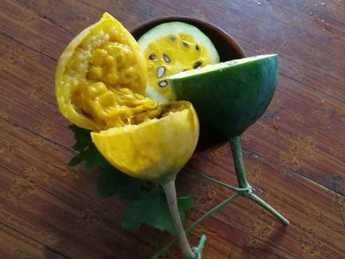 黑顺片和瓜篓能一起吃吗,黑顺片与瓜篓同食的适宜性探讨