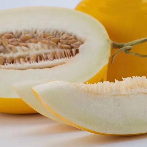 买了一个黑蜜瓜怎么吃才好吃