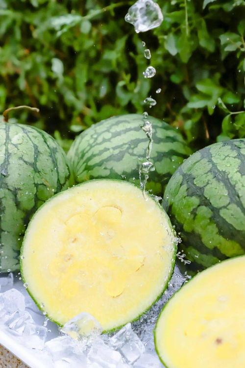 黑瓜吃料正能量官网最新51